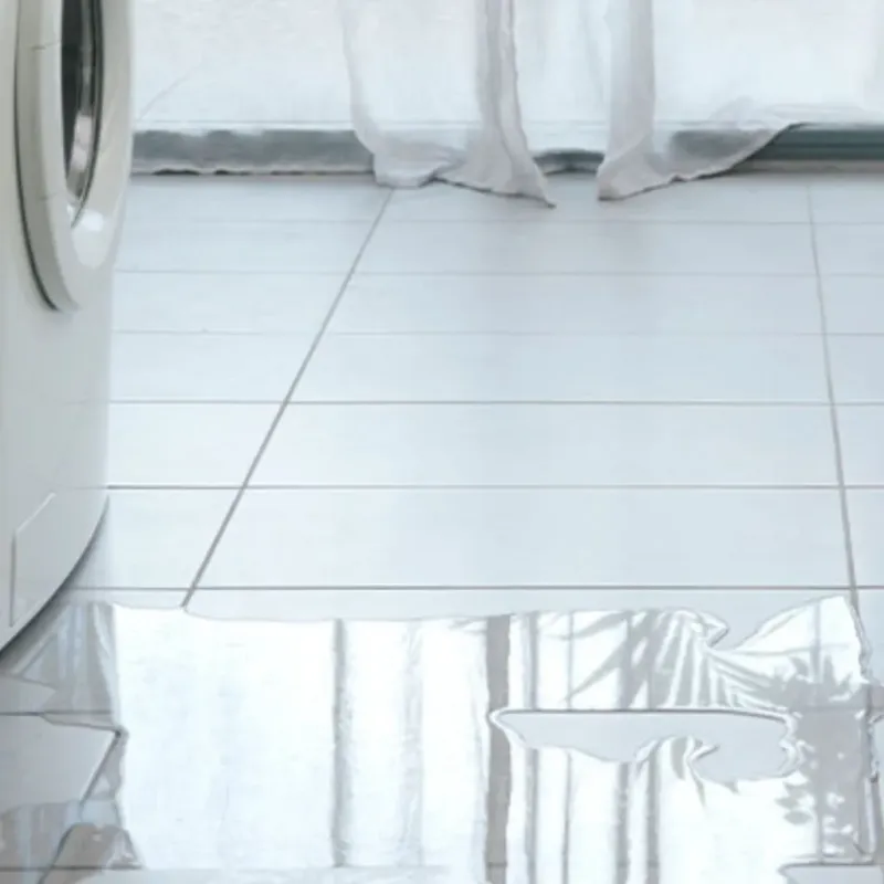 Appliance Leak Cleanup in New London, OH