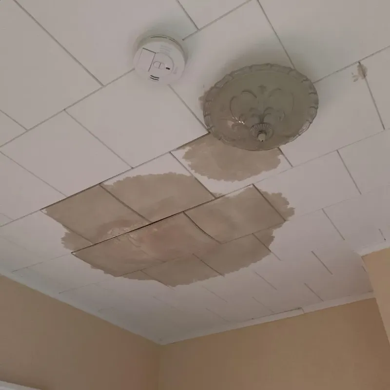 Ceiling Water Damage Repair in New London, OH