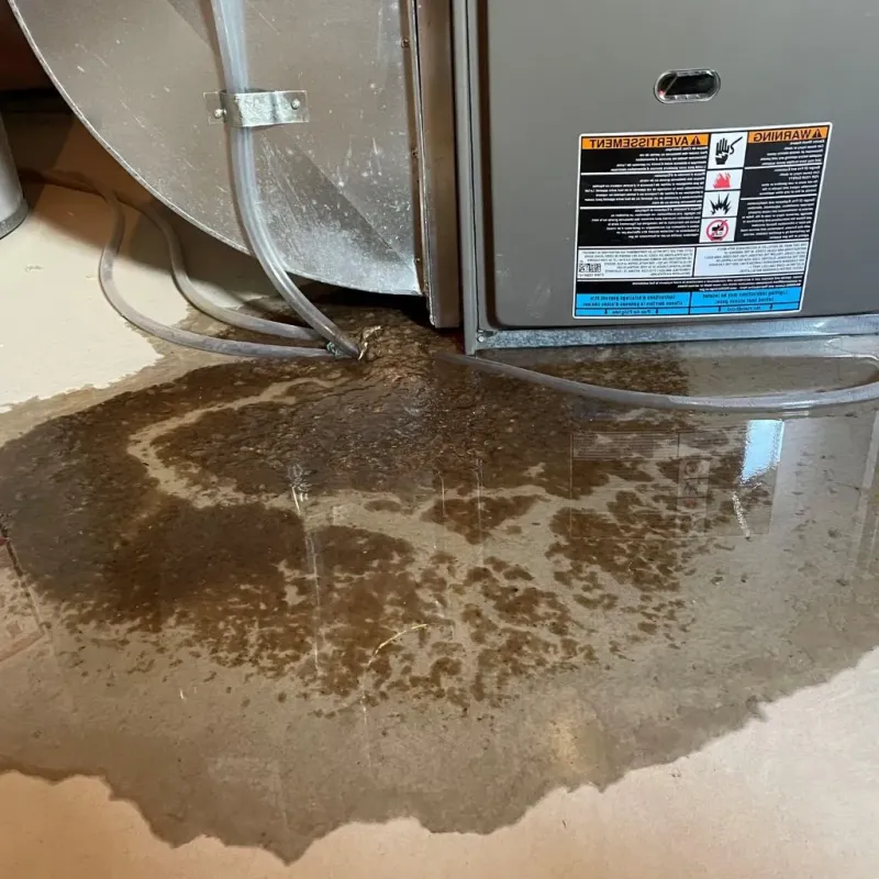 Pipe Burst and Leak Restoration in New London, OH