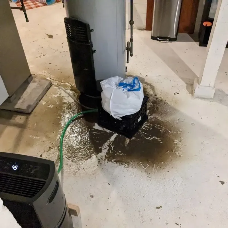 Sewage Backup Cleanup Service in New London, OH